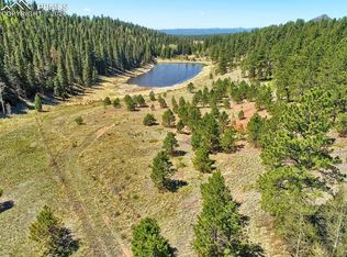 926 John Dr, Divide, CO 80814