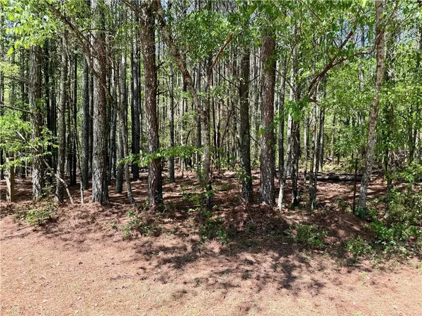 0 Haw Creek Dr, Cumming, GA 30041