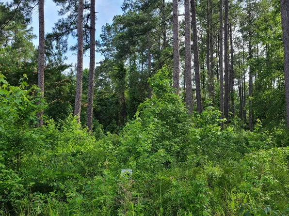 124 Cedarwood, Havelock, NC 28532