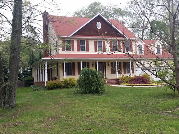Blooming Cherry Blossoms
