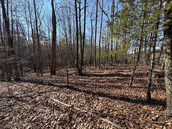 5th image of Lynnhaven Cavalier Dr