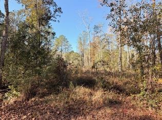 42217 Pasqua Rd, Ponchatoula, LA 70454