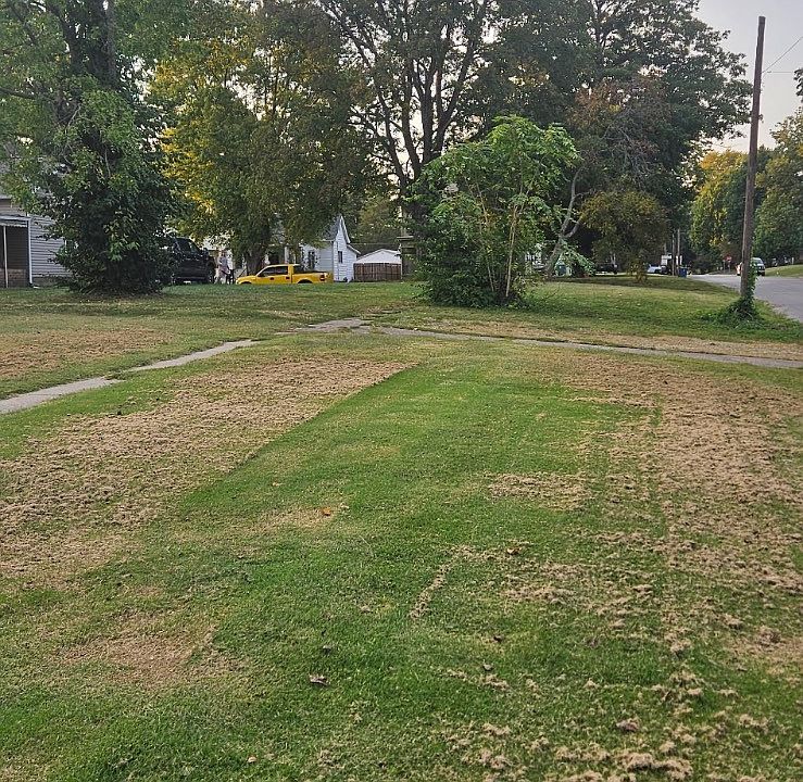 1st image of 331 E 8th St