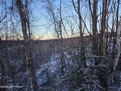 36868 S Malaspina Loop, Talkeetna, AK, 99676