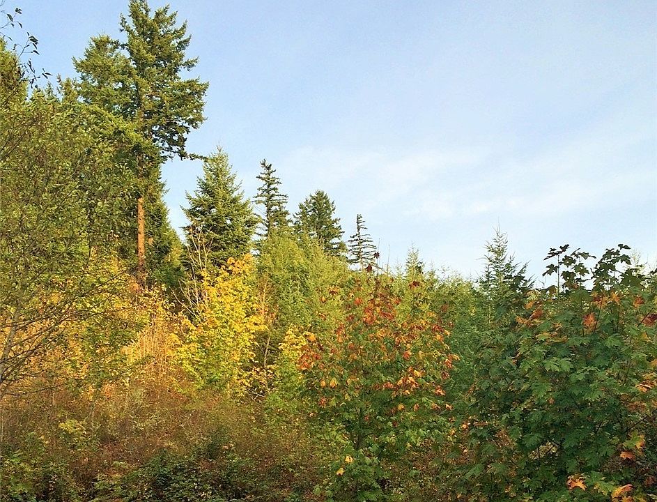 2nd image of 0 412th Street E