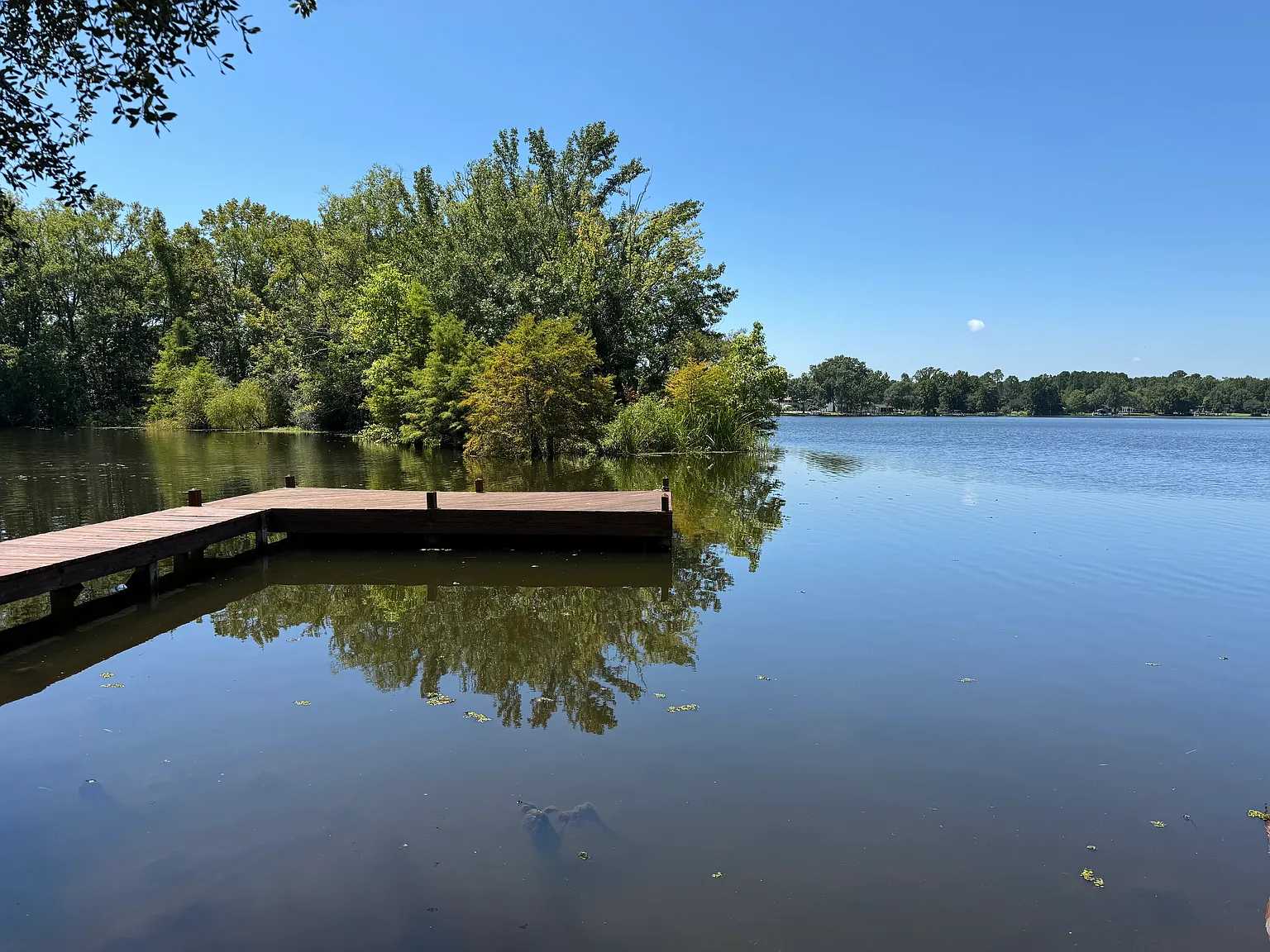 Taw Caw Dr, Summerton — Photo 4