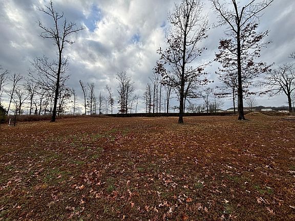 3rd image of 000 Hickory Hills Court