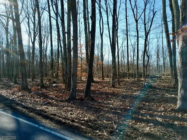 00 Ridge Rd, Frankford Twp., NJ 07826