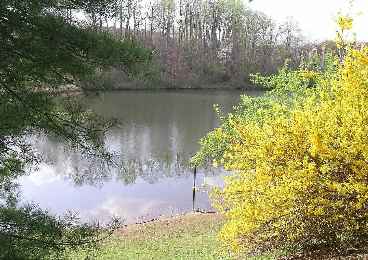 2 bed, 1400 sqft, $2,700 — Photo 4