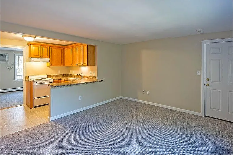 Living room / Kitchen