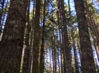 22122 NW Green Mountain Rd, Banks, OR 97106