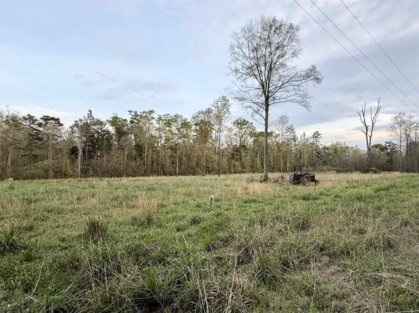 18776 Creole Ln, Livingston, LA 70754