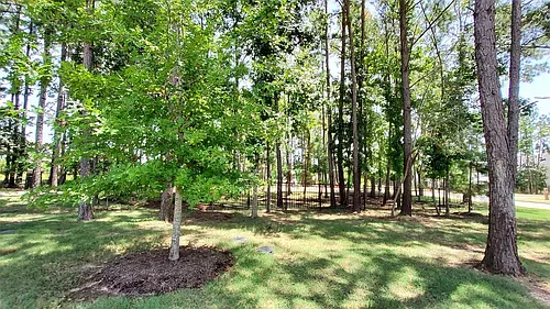 305 Rise Ln Photo 1 305 Rise Ln Photo 1