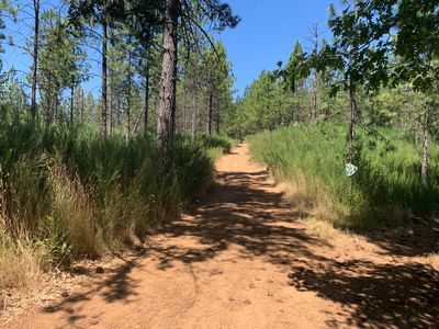 11880 Lost Ranch Way, Nevada City, CA, 95959