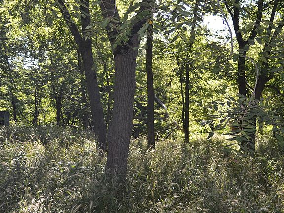 4th image of 7288 County Road 33