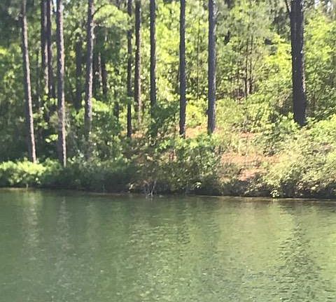 2nd image of 133 Callis Cir