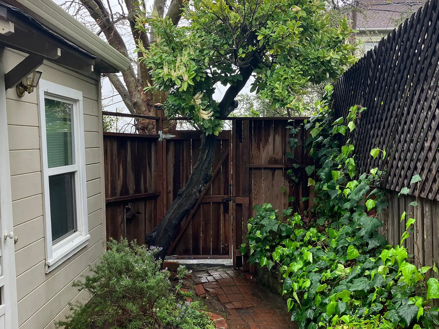 5th Ave, Crockett — Photo 3