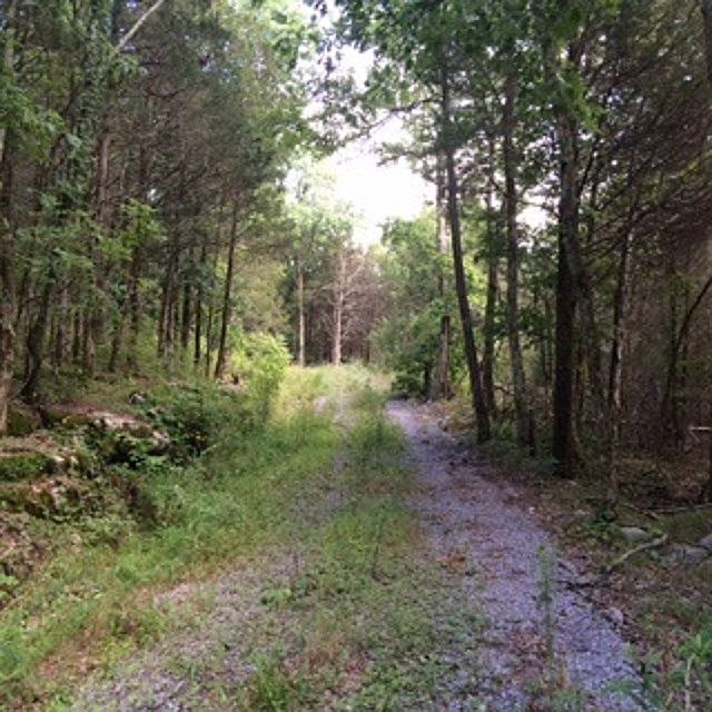 2nd image of 13 Dorris Patton Rd