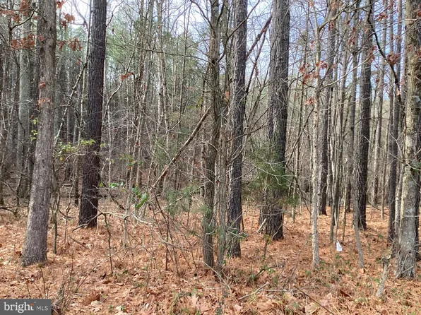 Shenandoah Path, Catlett, VA 20119