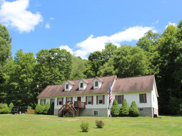 132 Beaver, Craigsville, WV 26205