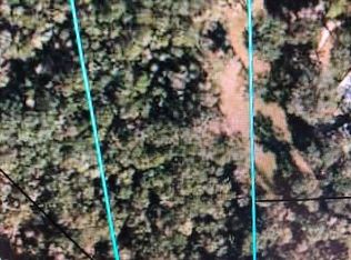 90 NE 314th Ave, Old Town, FL 32680