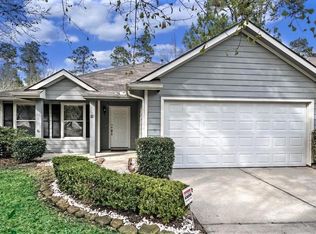 10 Orion Star Ct, Spring, TX 77382