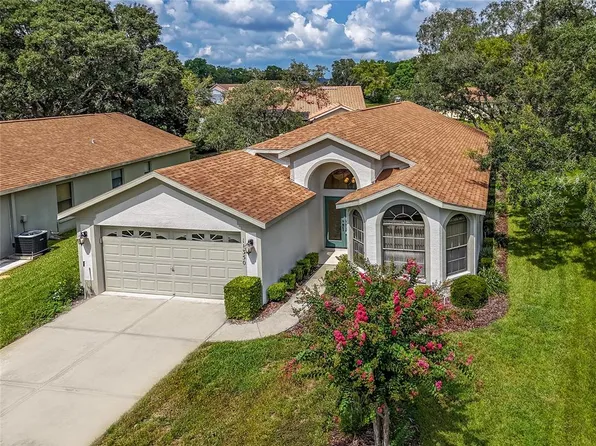 11350 Deercroft Ct, Spring Hill, FL 34609