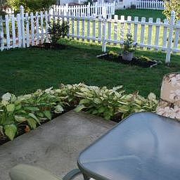 Your BackYard Oasis