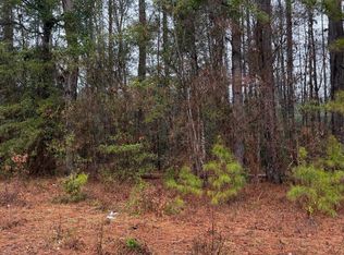 0 Neds Cv, Santee, SC 29142