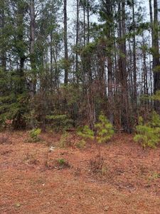 0 Neds Cv, Santee, SC, 29142