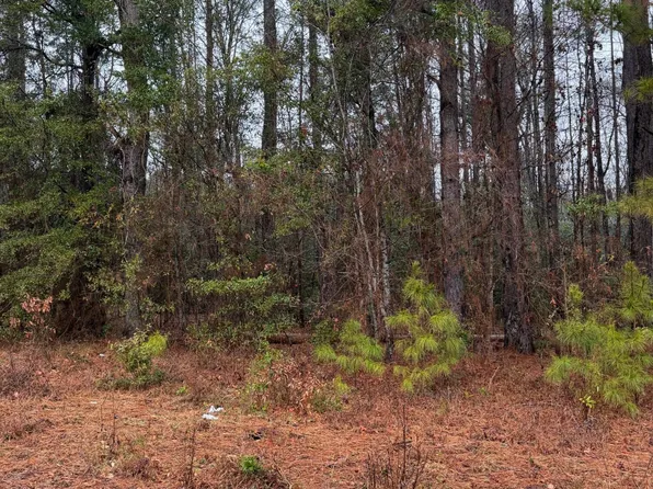 0 Neds Cv, Santee, SC 29142