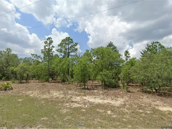 6642 N Roland Dr, Citrus Springs, FL 34433