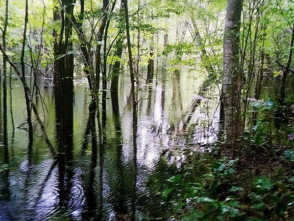 2nd image of 0 Nc Highway 210