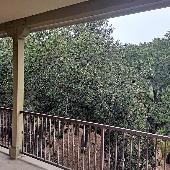 2710 Foxen Canyon Ln — Photo 15