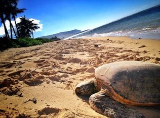 61-349 Kamehameha Hwy #A1, Haleiwa, HI 96712