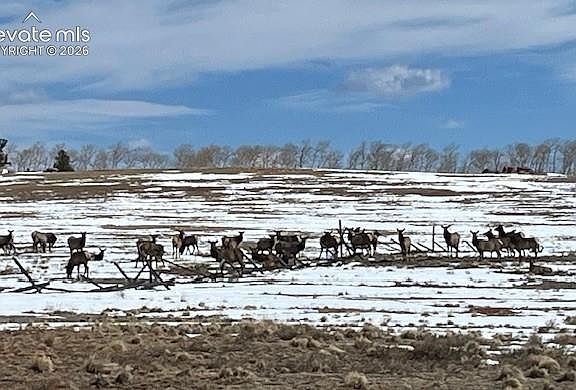 3rd image of 20400 Highway 285