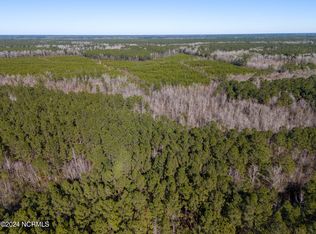 00 Sykes Town Road, Currie, NC 28435