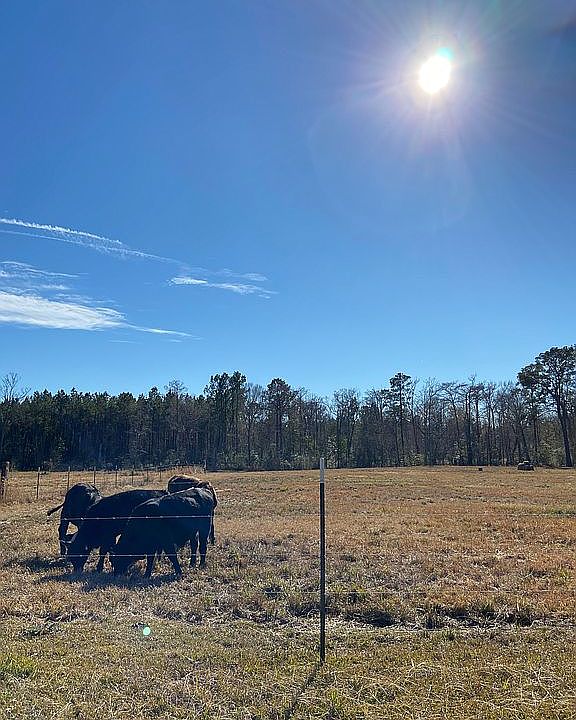 1st image of 1780 State Highway 63 E