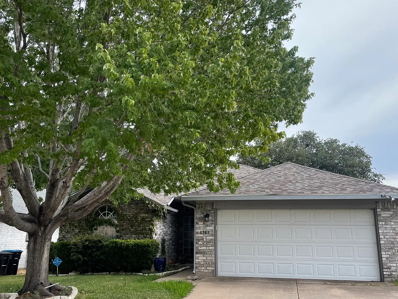 3 bed, 1354 sqft, $2,300 — Photo 1