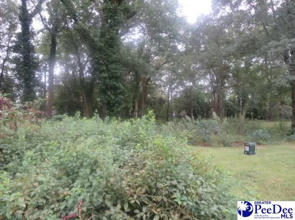 LOT 153 Emmary St, Hartsville, SC 29550