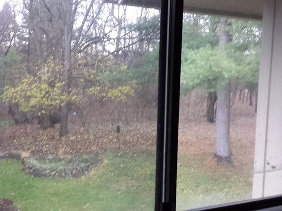 View from the kitchen