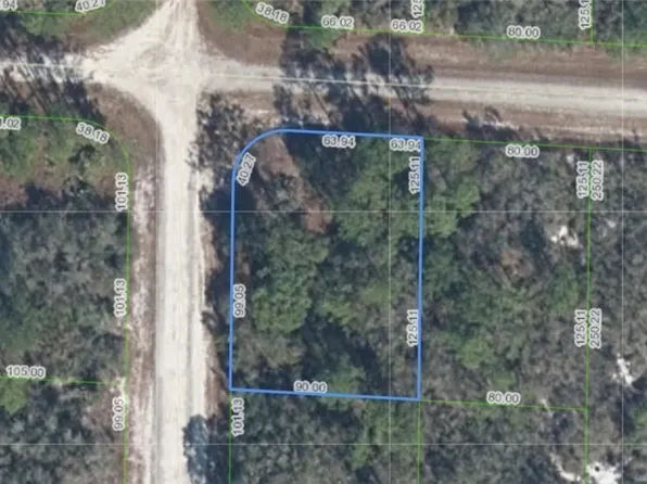3436 Cliff Swallow St, Lake Placid, FL 33852