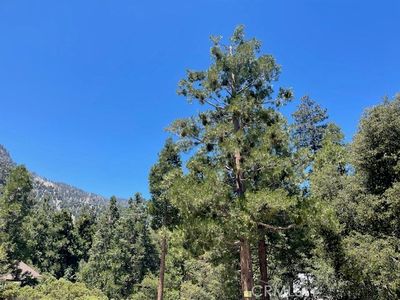 41489 Island Dr #377, Forest Falls, CA, 92339
