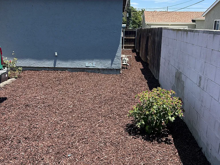 307 Millar Ave #A — Photo 9