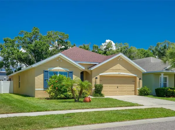 10607 Park Meadowbrooke Dr, Riverview, FL 33578