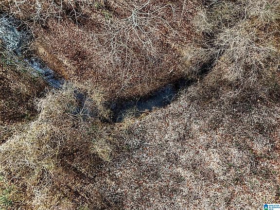 5th image of 7296 Goodner Mountain Rd #0