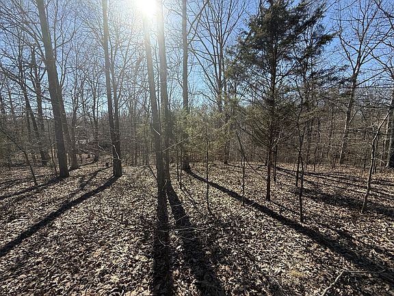 5th image of 28 Backwoods Estates Lot 28