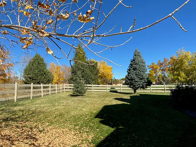 2 bed, 995 sqft, $2,100 — Photo 4