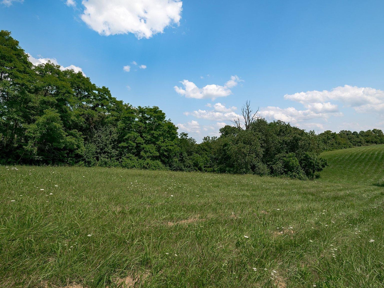 6161 Ashgrove Rd, Nicholasville, KY 40356 Zillow