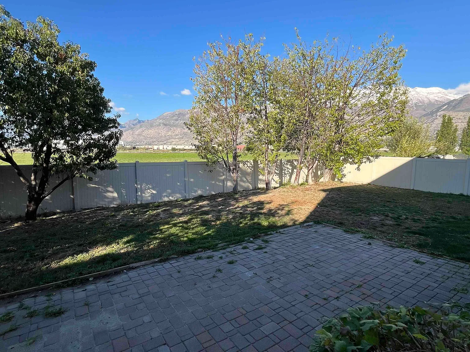3 bed, 3194 sqft, $2,800 — Photo 3